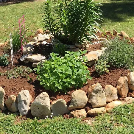 Apartmán Luxury Niko *