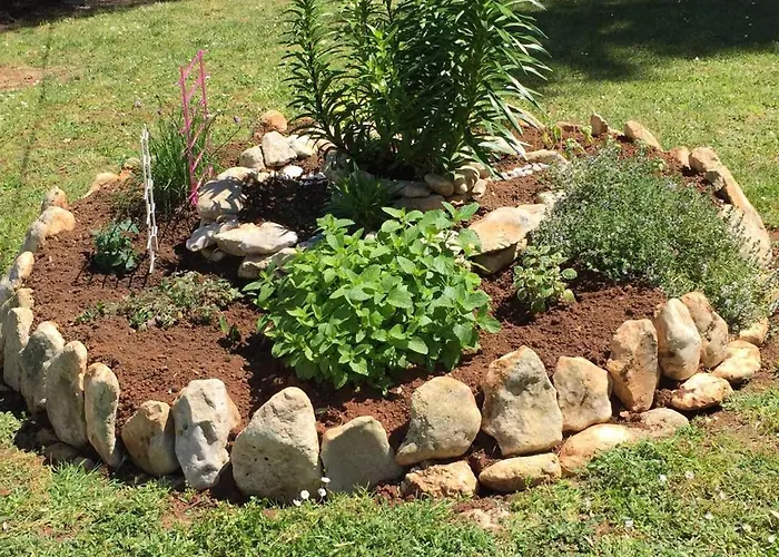 Apartment Luxury Niko *